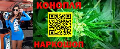 гидропоника Аша