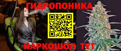 гидропоника Аша