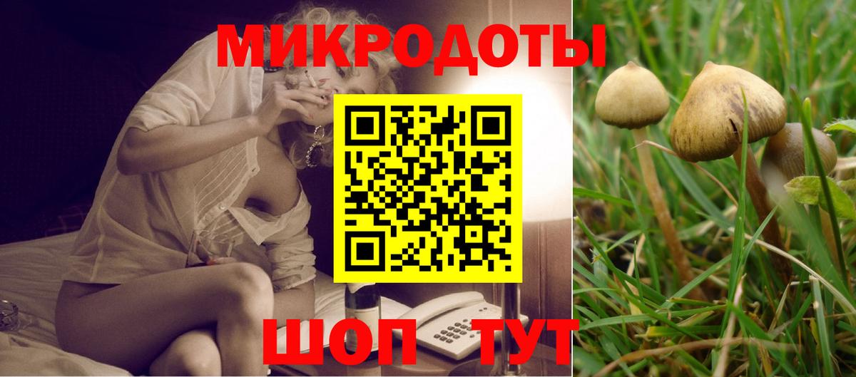 Иваново  что такое наркотик  Псилоцибиновые грибы GOLDEN TEACHER  Вход с VPN  Галлюциногенные грибы Psilocybe 